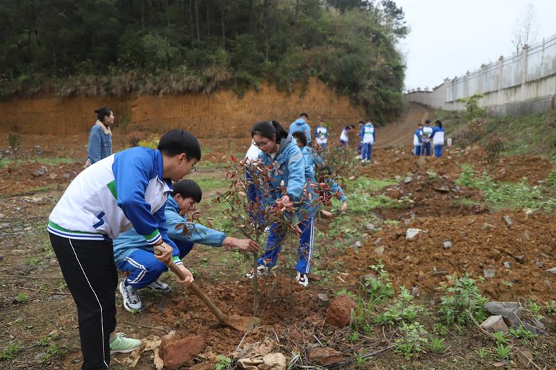 種下20萬元常青樹 禮獻(xiàn)建黨百年華誕